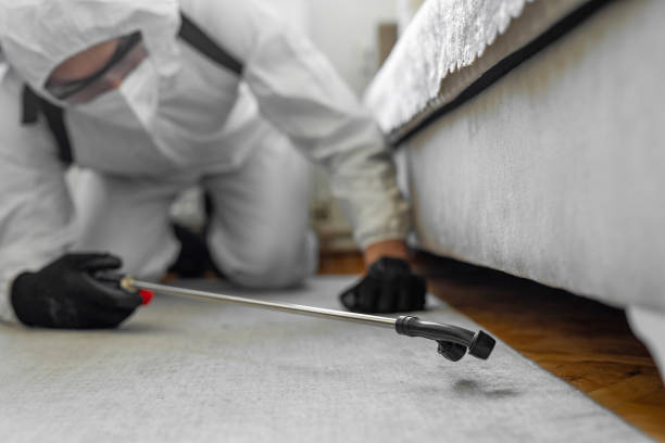 Professional Termite Control technician working in Walker, LA