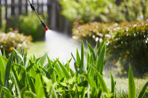 24/7 Emergency Termite Control experts in Walker, LA