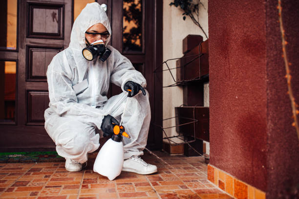 Reliable Termite Control contractor in Walker, LA by Nex Pest Control