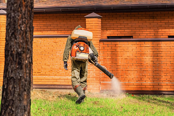 Top rated local Termite Control specialists in Walker, LA